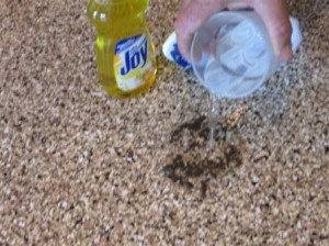 Portland Oregon Garage Floor Epoxy Tips